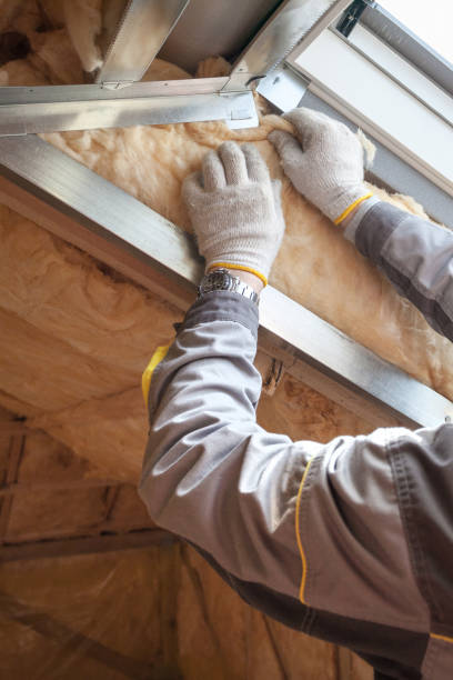 Best Residential Insulation in Roosevelt, UT